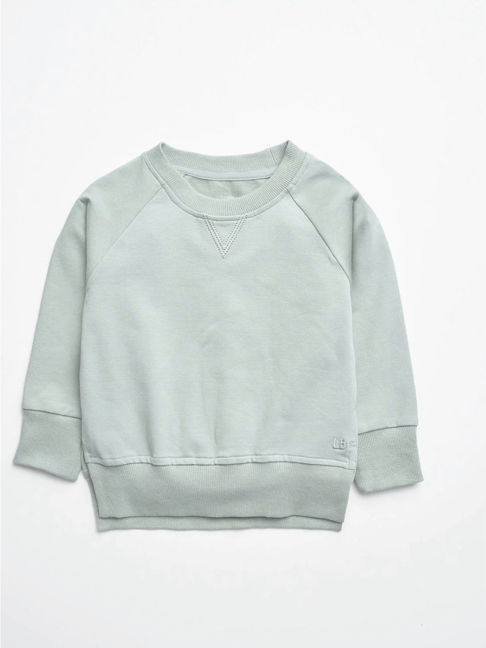 Agave Crewneck Sweatshirt 3T-4T boys/girls pullover NWT